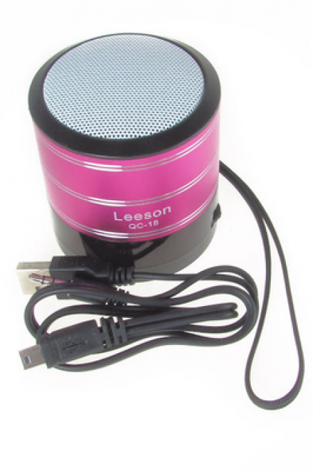 КОЛОНКА LEESON QC-18